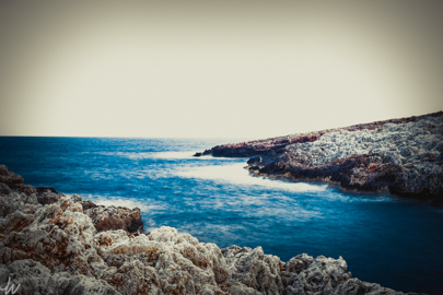 View Project